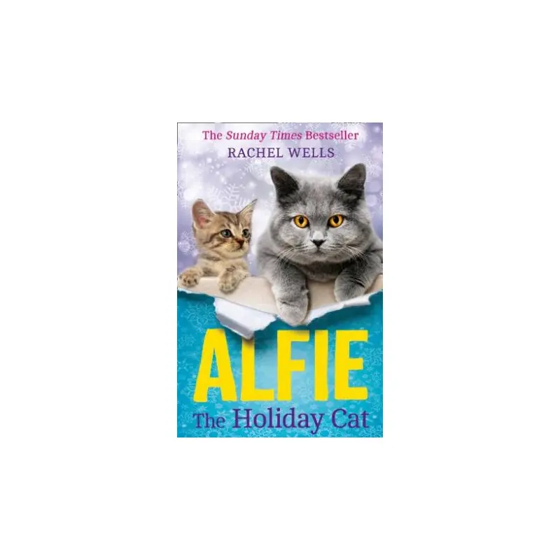 Alfie The Holiday Cat
