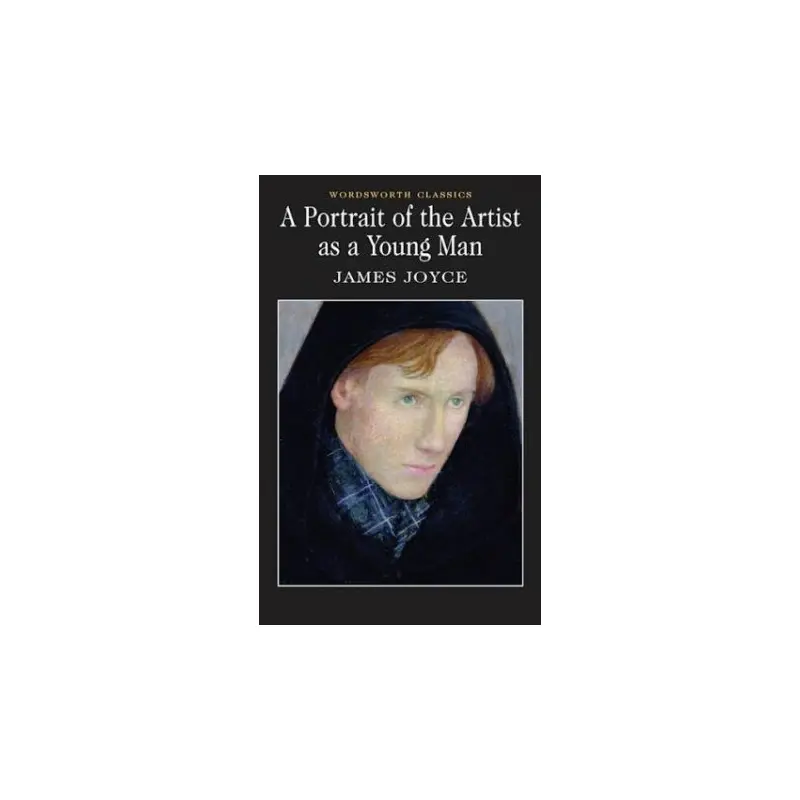 A Portrait Of The Artist As A Young Man