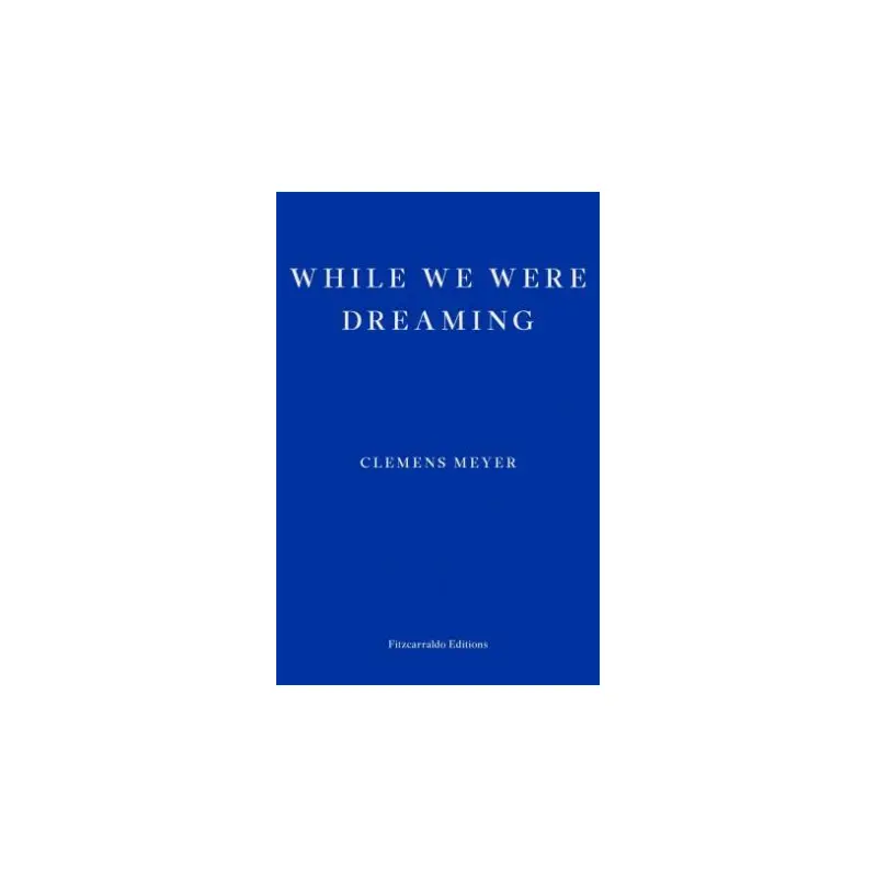 While We Were Dreaming