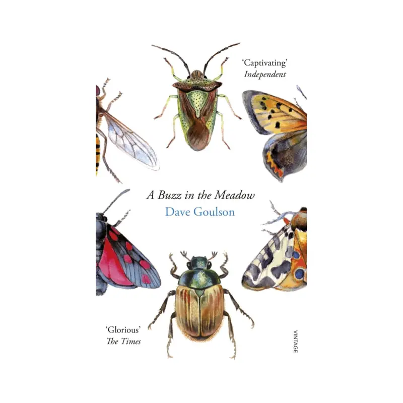 A Buzz in the Meadow