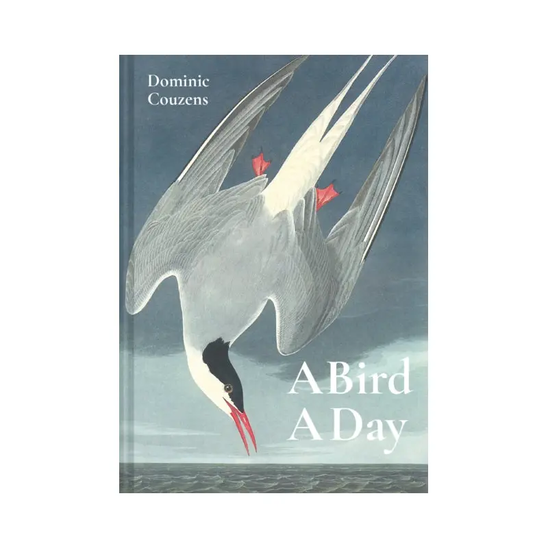 A Bird A Day