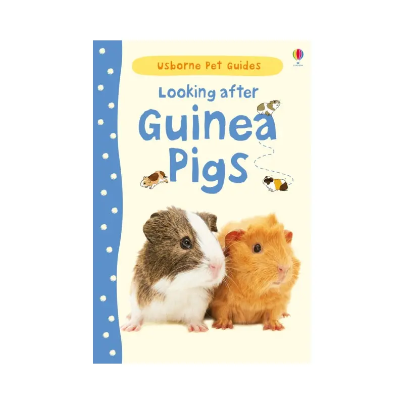 Looking After Guinea Pigs