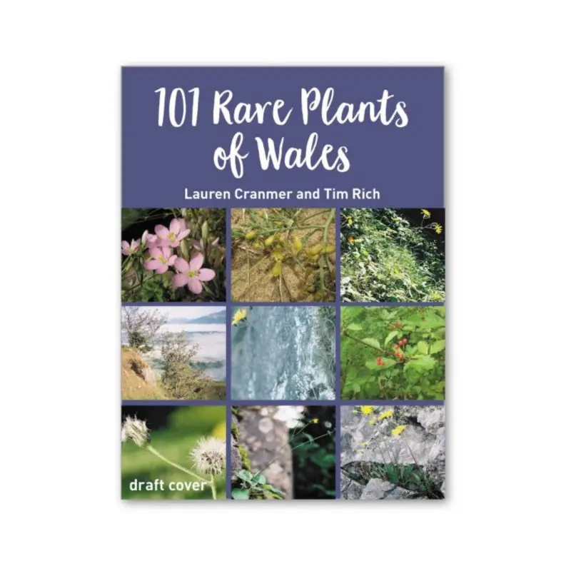 101 Rare Plants of Wales