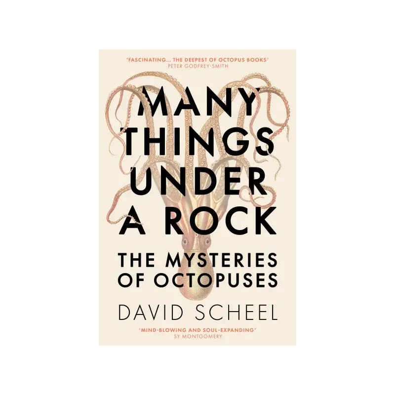 Many things under a rock