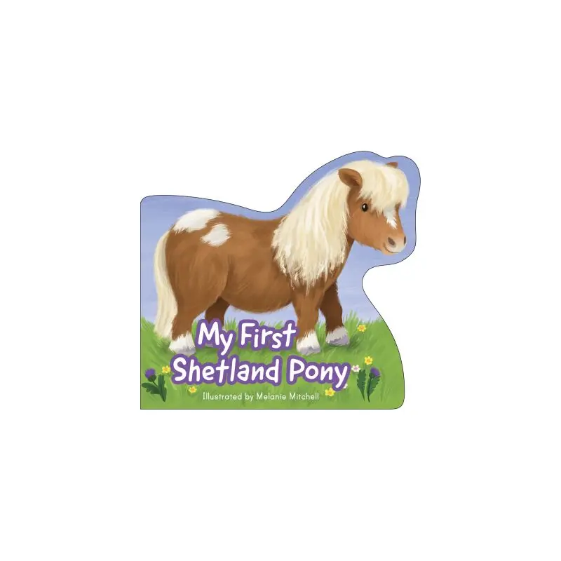 My first Shetland pony
