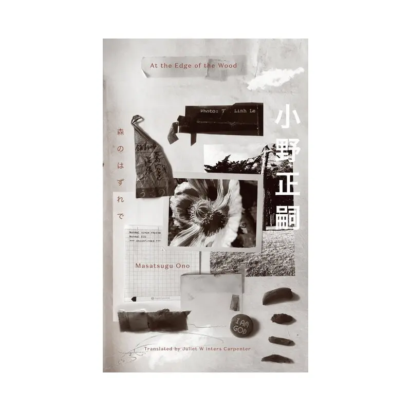 At the Edge of the Wood