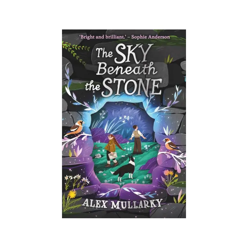 The Sky Beneath the Stone