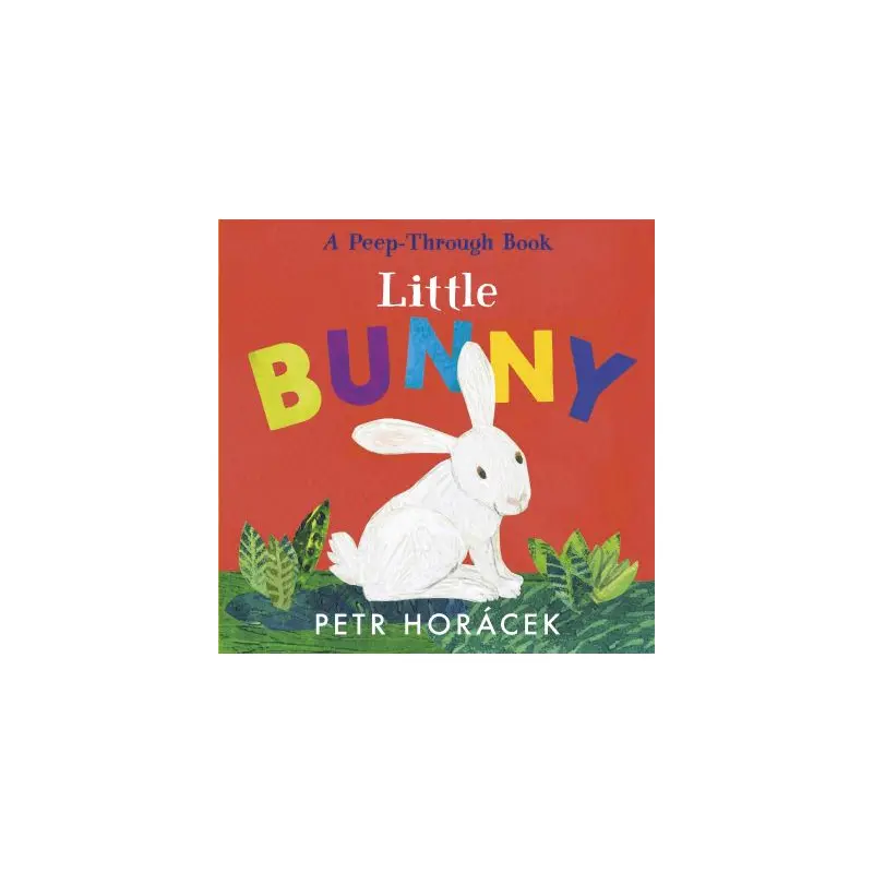 Little Bunny