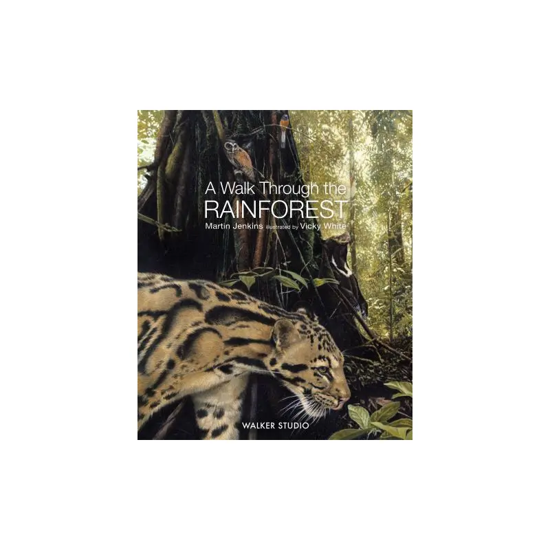 A walk through the rainforest