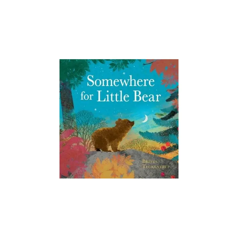 Somewhere for Little Bear