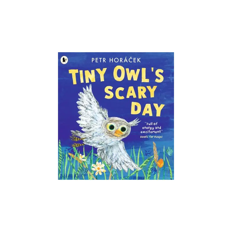 Tiny Owl's scary day