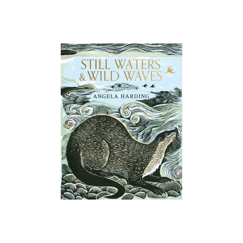 Still waters & wild waves