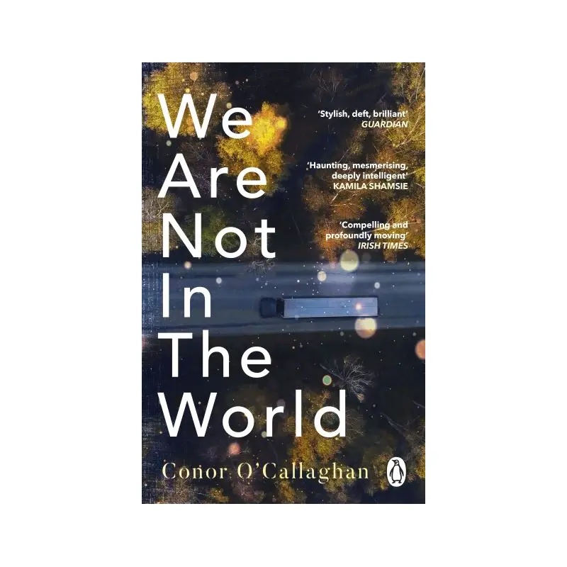 We Are Not in the World