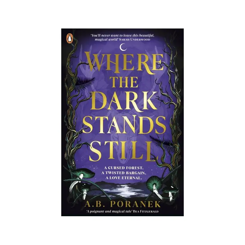 Where the dark stands still