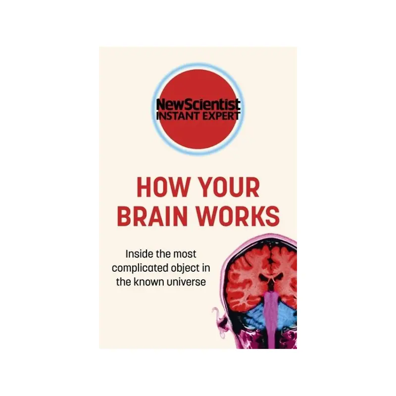How Your Brain Works