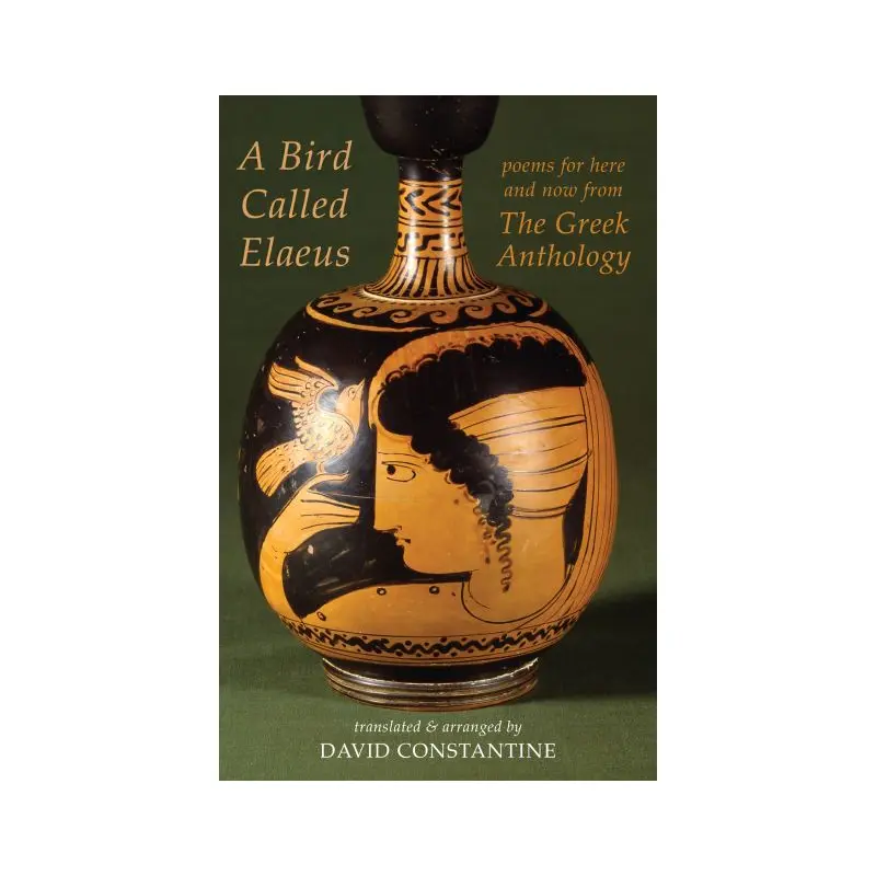 A bird called Elaeus