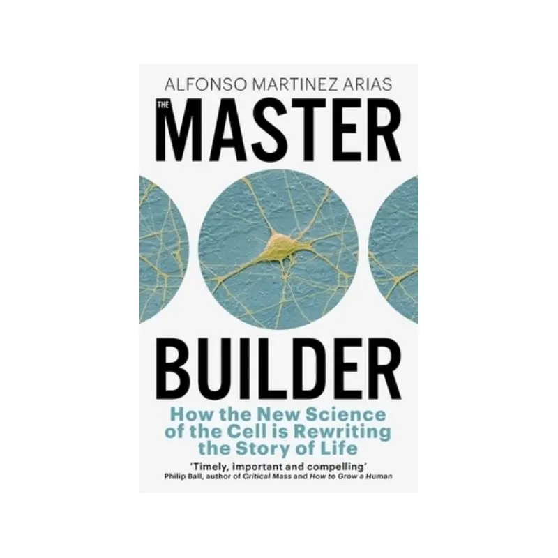 The master builder