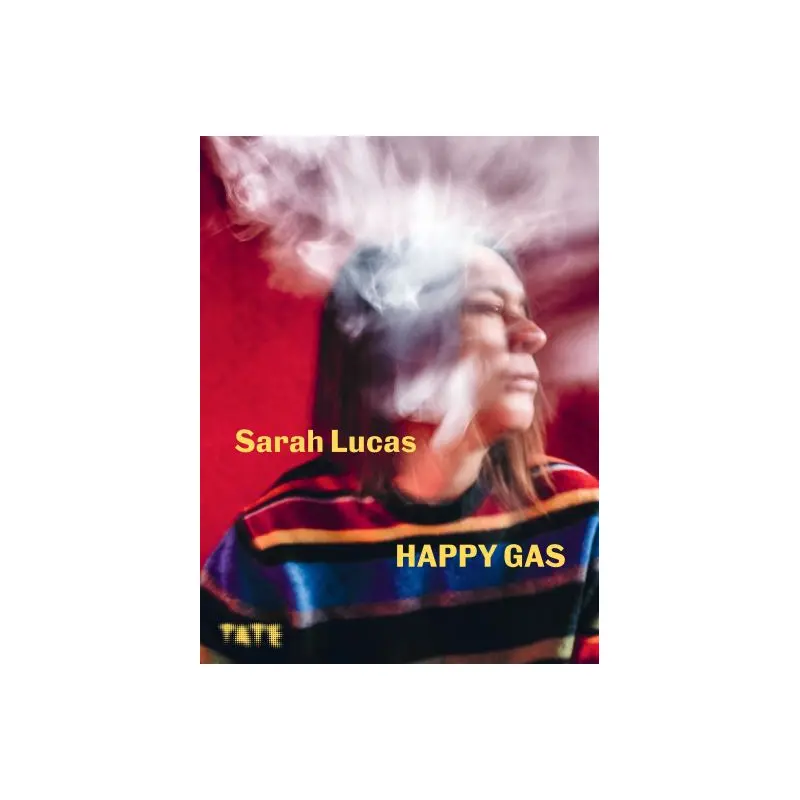 Sarah Lucas - Happy gas