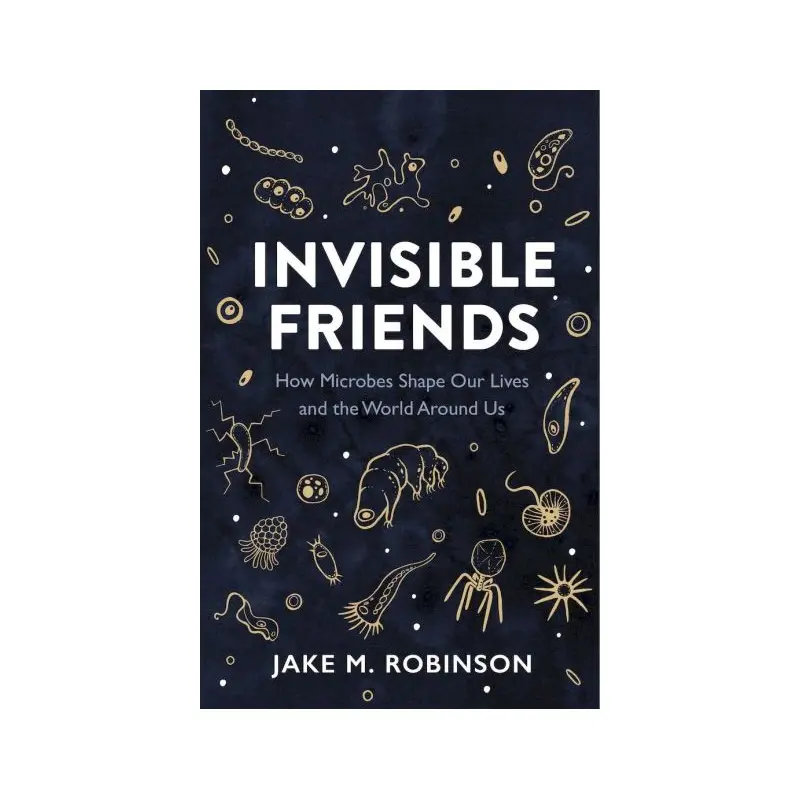 Invisible Friends