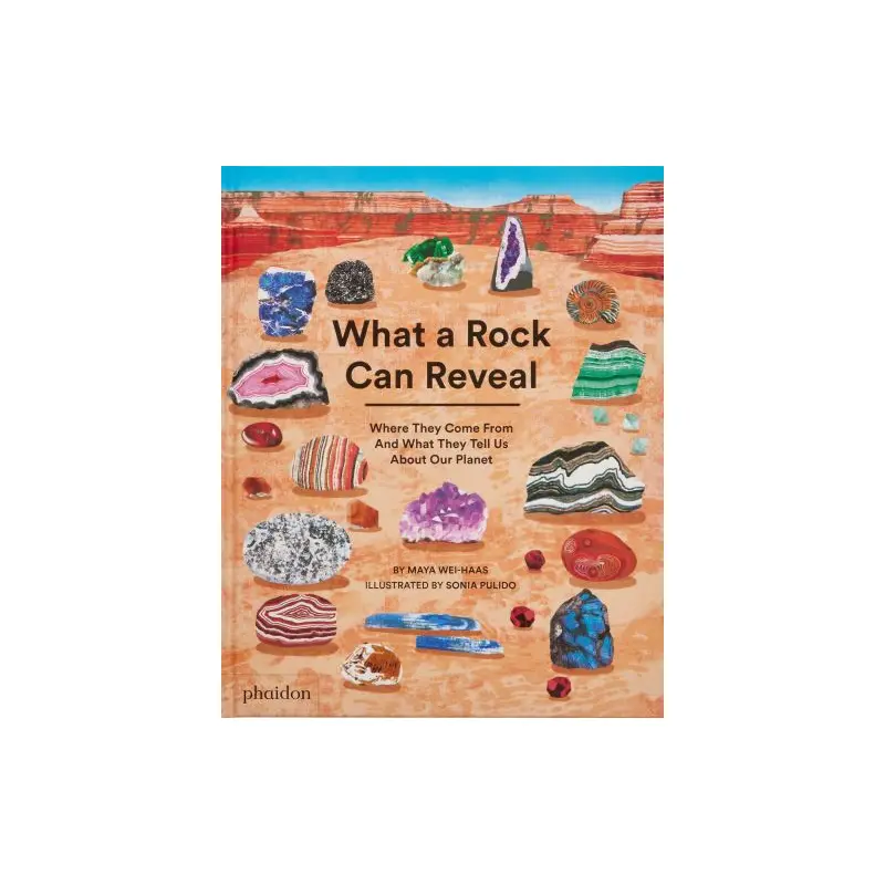 What a rock can reveal