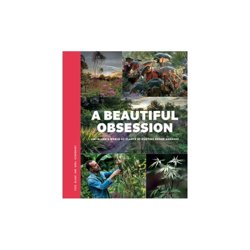 A beautiful obsession