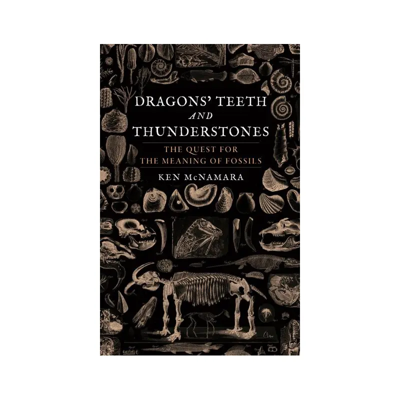 Dragons' teeth and thunderstones