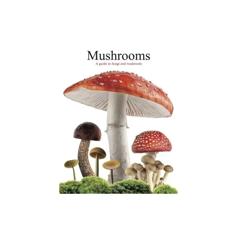 Mushrooms