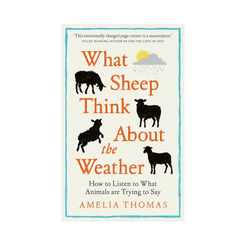 What Sheep Think About the Weather