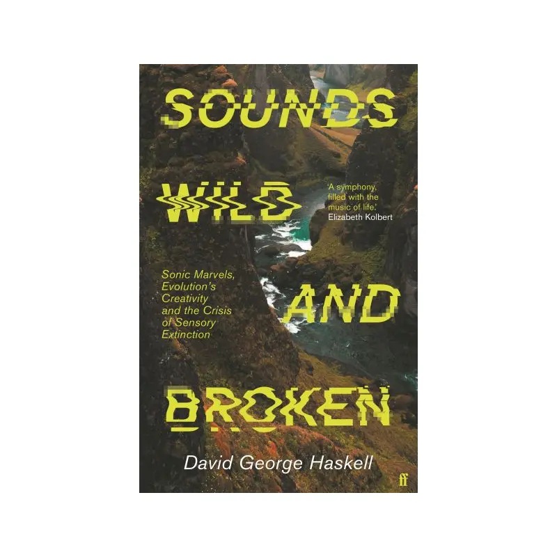 Sounds Wild and Broken