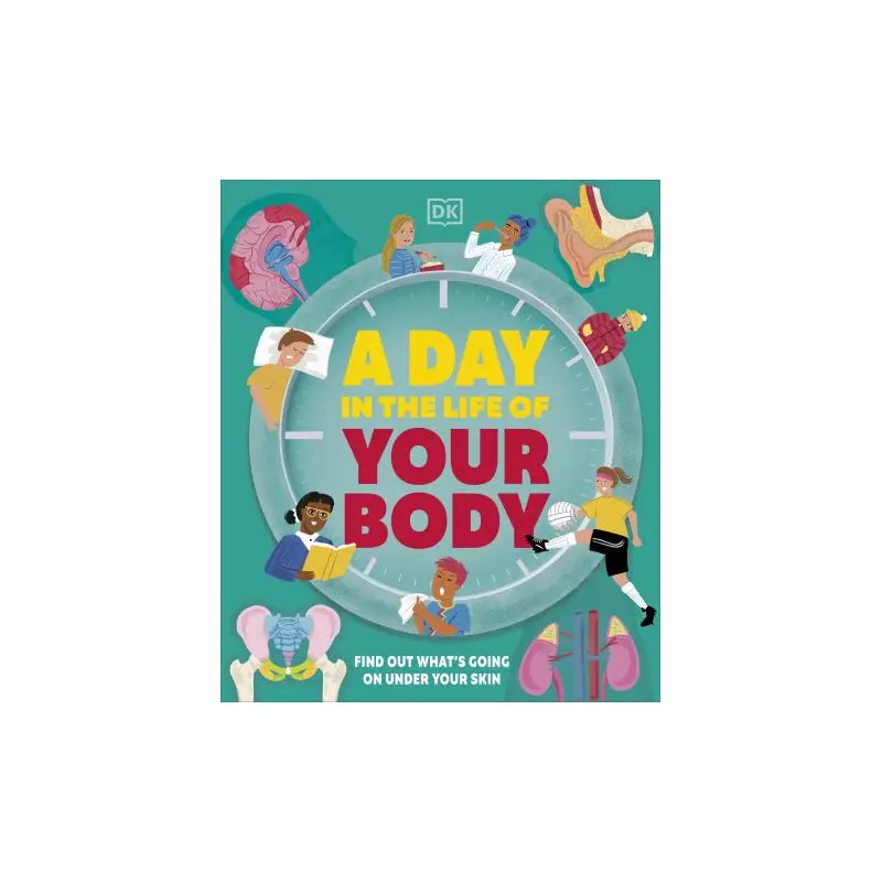 A Day in the Life of Your Body