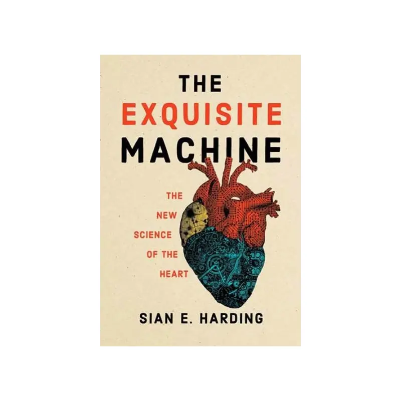 Exquisite Machine, The